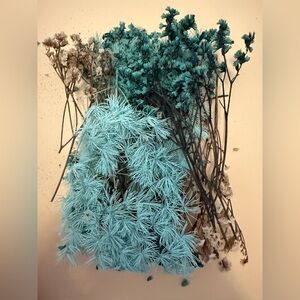 Dried Floral Arrangements-multiple colors and cases